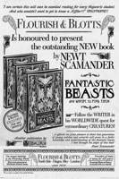 Poster Fantastic Beasts the Crimes of Grindelwald Flourish and Blotts 61x91,5cm