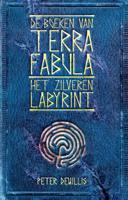 Het zilveren labyrint (Paperback)