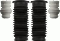 Sachs Service Kit 900419