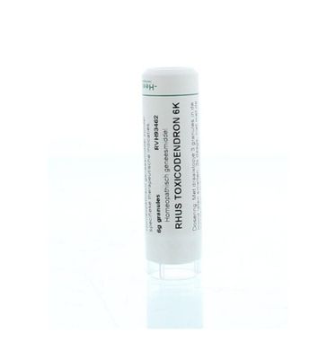 Rhus toxicodendron 6K