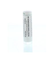 Rhus toxicodendron 6K