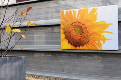 Buitenposter op 4cm frame 90x240 cm