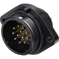 Weipu SP2113 / P12 Ronde connector Stekker, inbouw Totaal aantal polen: 12 Serie (ronde connectoren): SP21 1 stuk(s)