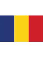 Vlag Roemenië 90x150cm - thumbnail