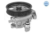 Servo pomp 0146310011