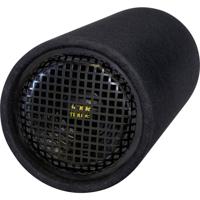 Sintron 201312 Passieve PA-subwoofer 200 W