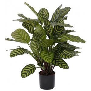 Kunstplant Calathea Makoyana - voor binnen - kunst kamerplant - 67 cm