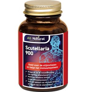 Scutellaria