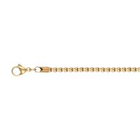 iXXXi Men Ketting Ronde Schakel Mat Goud