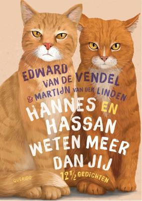 Hannes en Hassan weten meer dan jij (Hardback)