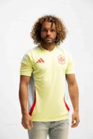 Spanje Shirt Uit Senior 2024-2026 - Maat S - Kleur: Geel | Soccerfanshop