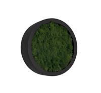 Mosschilderij Fay Fiberstone XS
