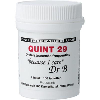 DNH Quint 29