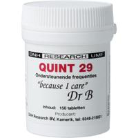 DNH Quint 29