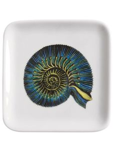 Fornasetti cendrier Conchiglia Fossile en porcelaine (12 cm) - Blanc