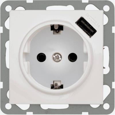 PEHA by Honeywell 244061 Wandcontactdoos met USB Inzetstuk Wit 1 stuk(s)