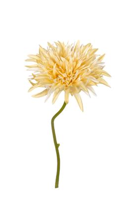 Gerbera wild l29cm geel kunstbloem Louis Maes - Louis maes