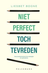 Niet perfect, toch tevreden - Liesbet Boone - ebook