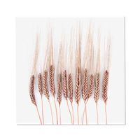 Schilderij op Paneel Grain Pink White PVC 50x50 Tesa Powerstrips - thumbnail