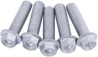 TRW bouten set screw set 5pcs. m8x1,25