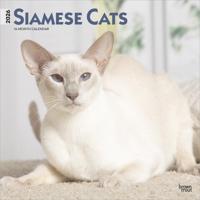 Siamees Kalender 2026