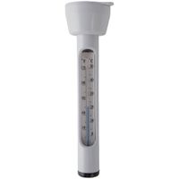 Intex 29039 Zwembad Thermometer