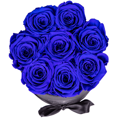 Flowerbox longlife Gigi donkerblauw Flowerbox longlife Gigi donkerblauw