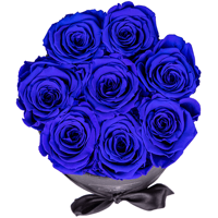 Flowerbox longlife Gigi donkerblauw Flowerbox longlife Gigi donkerblauw