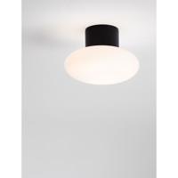 Lyora PlafondlampAli antraciet met ovaal wit glas - 9971456