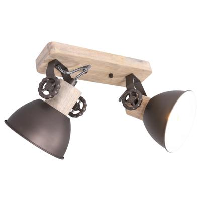 Steinhauer PlafondspotGearwood 2-lichts - 7969A