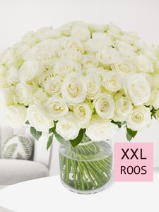 100 witte rozen - Snowstorm