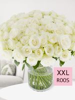 100 witte rozen - Snowstorm - thumbnail