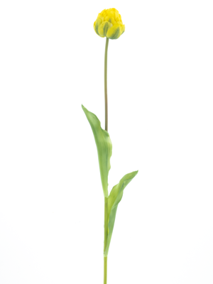 PSO Tulip spray Paris Sally yellow 79 cm kunstbloem - Nova nature