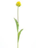 PSO Tulip spray Paris Sally yellow 79 cm kunstbloem - Nova nature