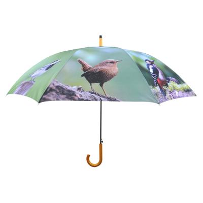 Esschert Design Paraplu vogels - groen - tuinvogel print - D120 cm - houten handvat