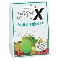 HG X fruitvliegjesval insectenval - thumbnail