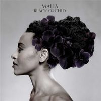 Black Orchid - CD (0602527860596) - thumbnail