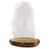 Decoratie stolp - glas - houten bruin boomschijf plateau - D18 x H26 cm