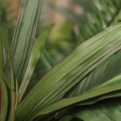 Draceana Marginata Kunstplant 40cm