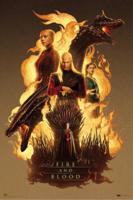 Poster House of the Dragon Fire and Blood 61x91,5cm