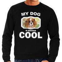 Charles spaniel honden sweater / trui my dog is serious cool zwart voor heren - thumbnail