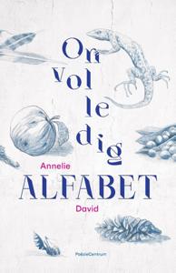 Onvolledig alfabet (Paperback)