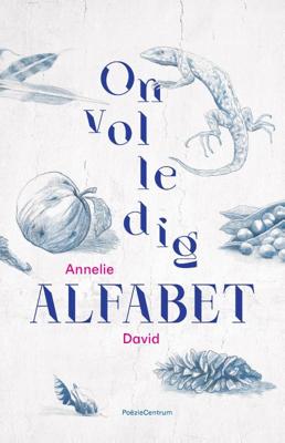 Onvolledig alfabet (Paperback)