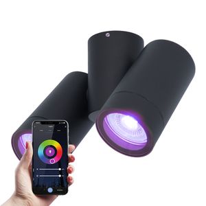 HOFTRONIC SMART Silva smart plafondlamp - plafondspot - Kantelbaar - RGBWW - WiFi & Bluetooth - 2 spotlights - GU10 - Wandspot - Google assistant & Amazon Alexa - IP65 waterdicht - Zwart