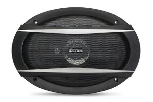 Auto Speaker - Ovale 6X9 met Rooster 150 Watt (CDS69G)