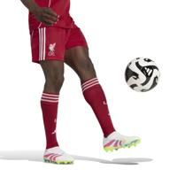 adidas Liverpool Thuisbroekje 2025-2026