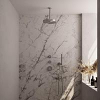 BRAUER Stripe Thermostatische Inbouw Regendouche - SET 03 - 25cm douchekop - plafondarm - staaf handdouche - doucheslang - wandaansluitbocht - RVS-kleurig geborsteld PVD 5-NG-369