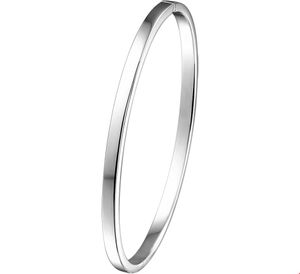 Armband Zilgold Bangle witgoud=-zilveren kern 3 mm 61 mm