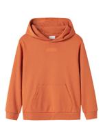 Name it winter sweater jongens - bruin - regular fit - NkmOrlando