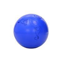 Company of Animals Boomer Ball - 6 inch (15 cm) - thumbnail